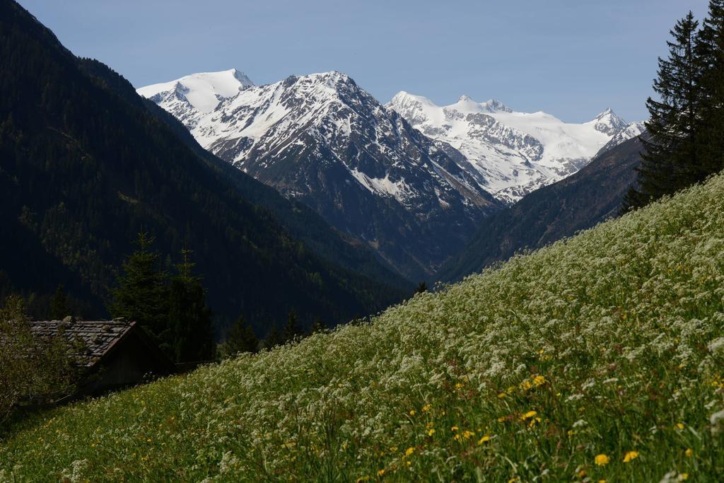 Pension Tina Neustift im Stubaital Exterior photo