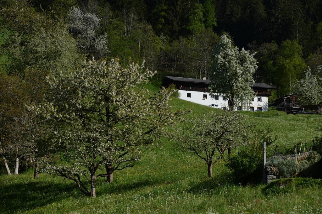 Pension Tina Neustift im Stubaital Exterior photo