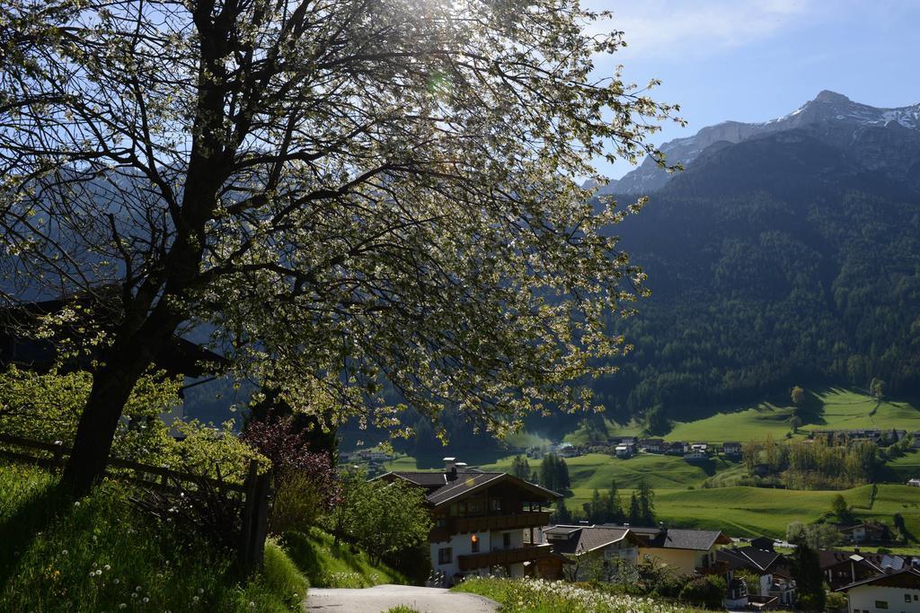 Pension Tina Neustift im Stubaital Exterior photo