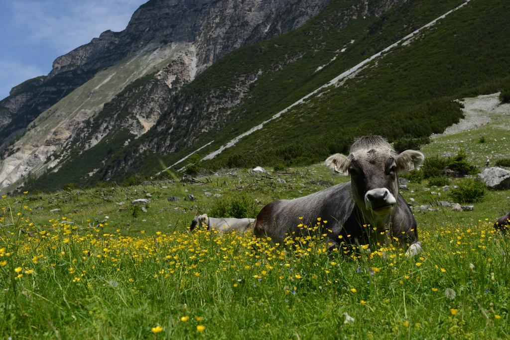 Pension Tina Neustift im Stubaital Exterior photo