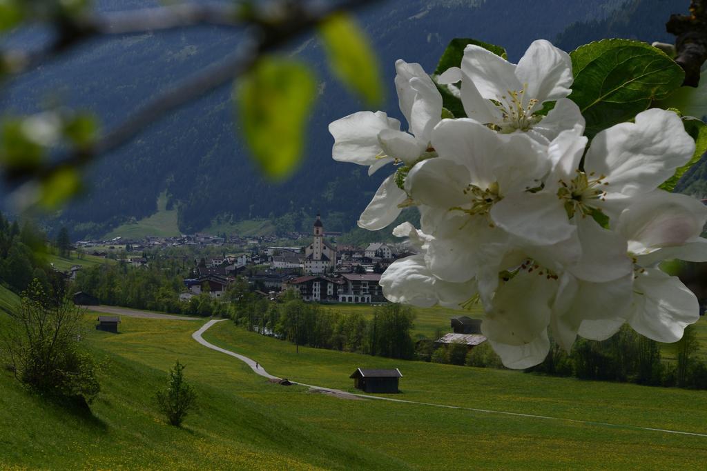 Pension Tina Neustift im Stubaital Exterior photo