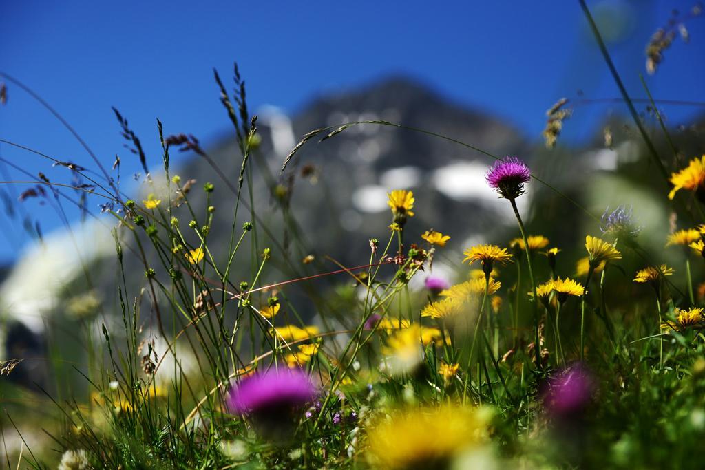 Pension Tina Neustift im Stubaital Exterior photo